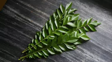 garnishing-instructions-image